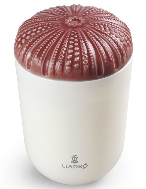 Vela aromática Echoes aroma amaderado 1