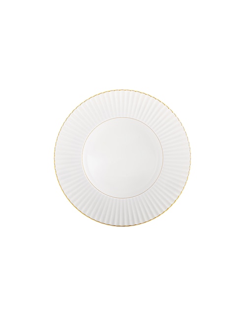 Plato sopa de porcelana 1