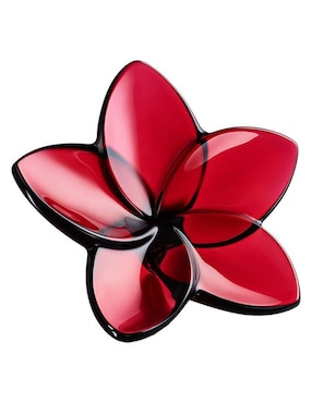 Alhajero Baccarat The Bloom