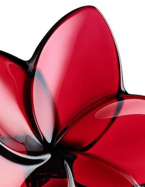 Alhajero Baccarat The Bloom