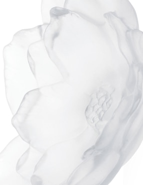 Bowl decorativo Daum Camelia