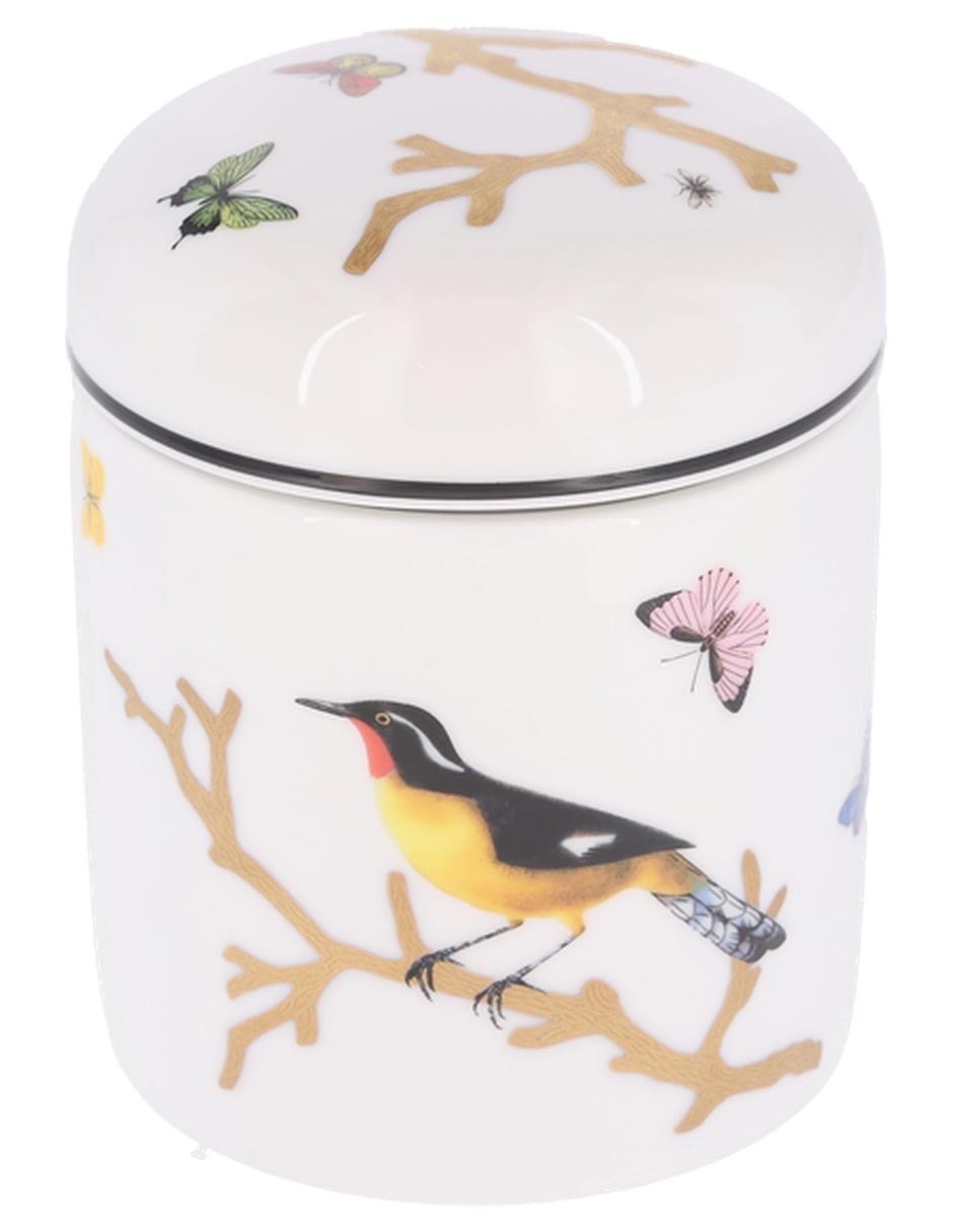 Contenedor Aux Oiseaux de porcelana Contenedor Aux Oiseaux de porcelana
