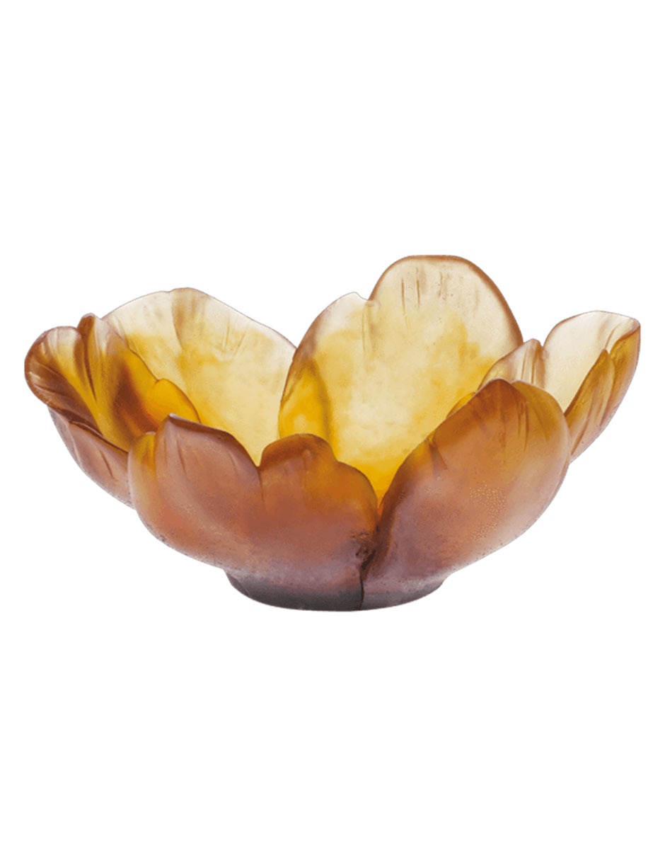 Bowl de cristal Bowl de cristal