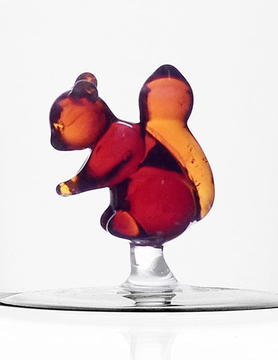 Vaso Doble Pack Af Squirrel 3