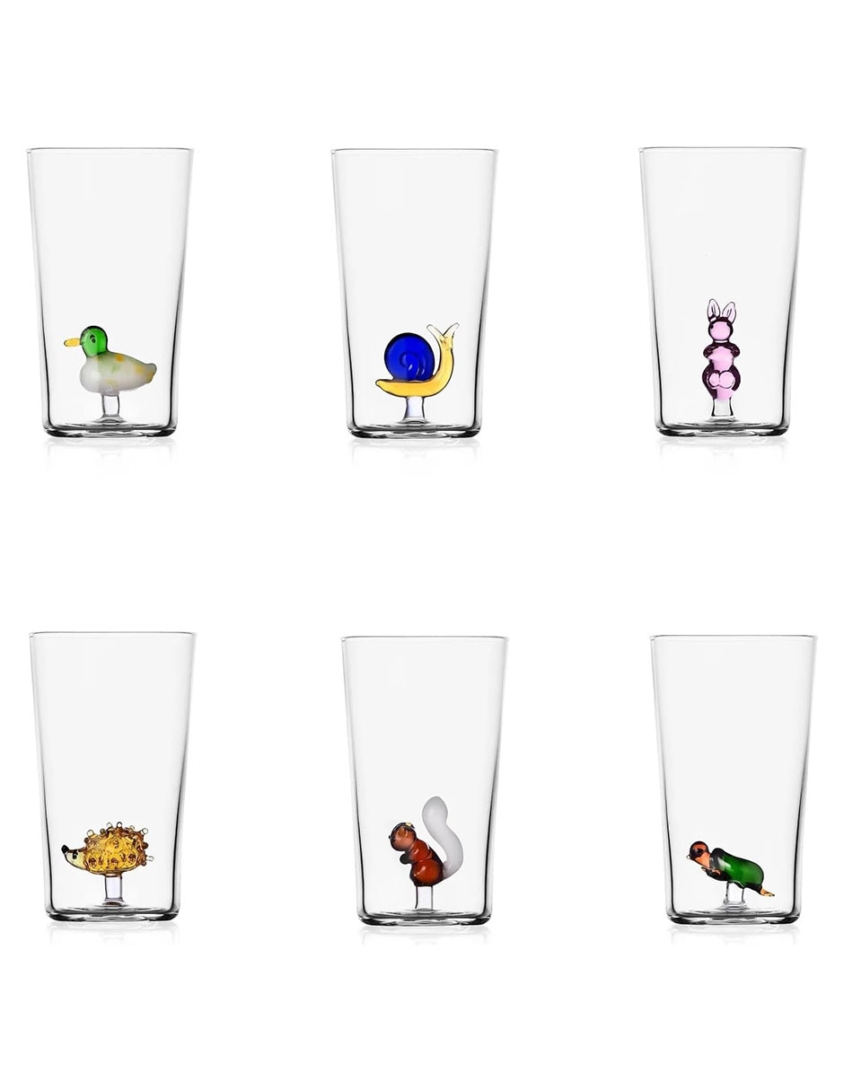Vaso Doble Pack Af Squirrel 2