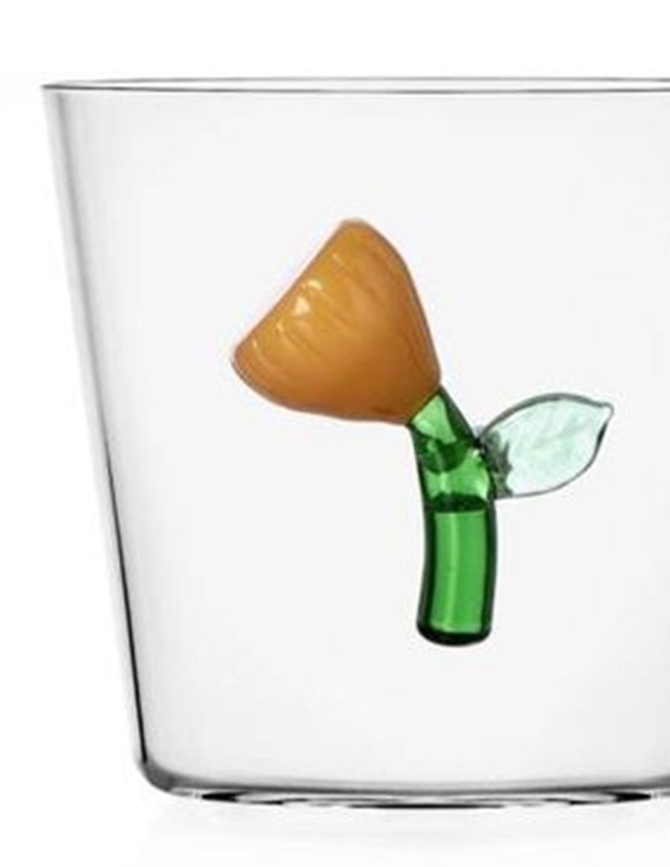 Vaso Doble Pack Botánica 2