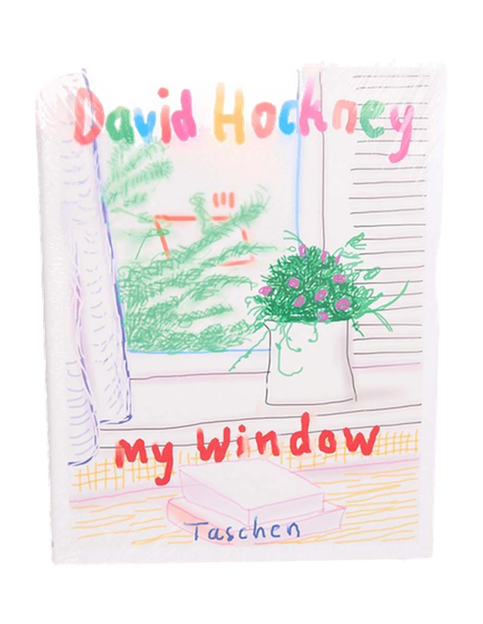 Libro David Hockney, My Window
