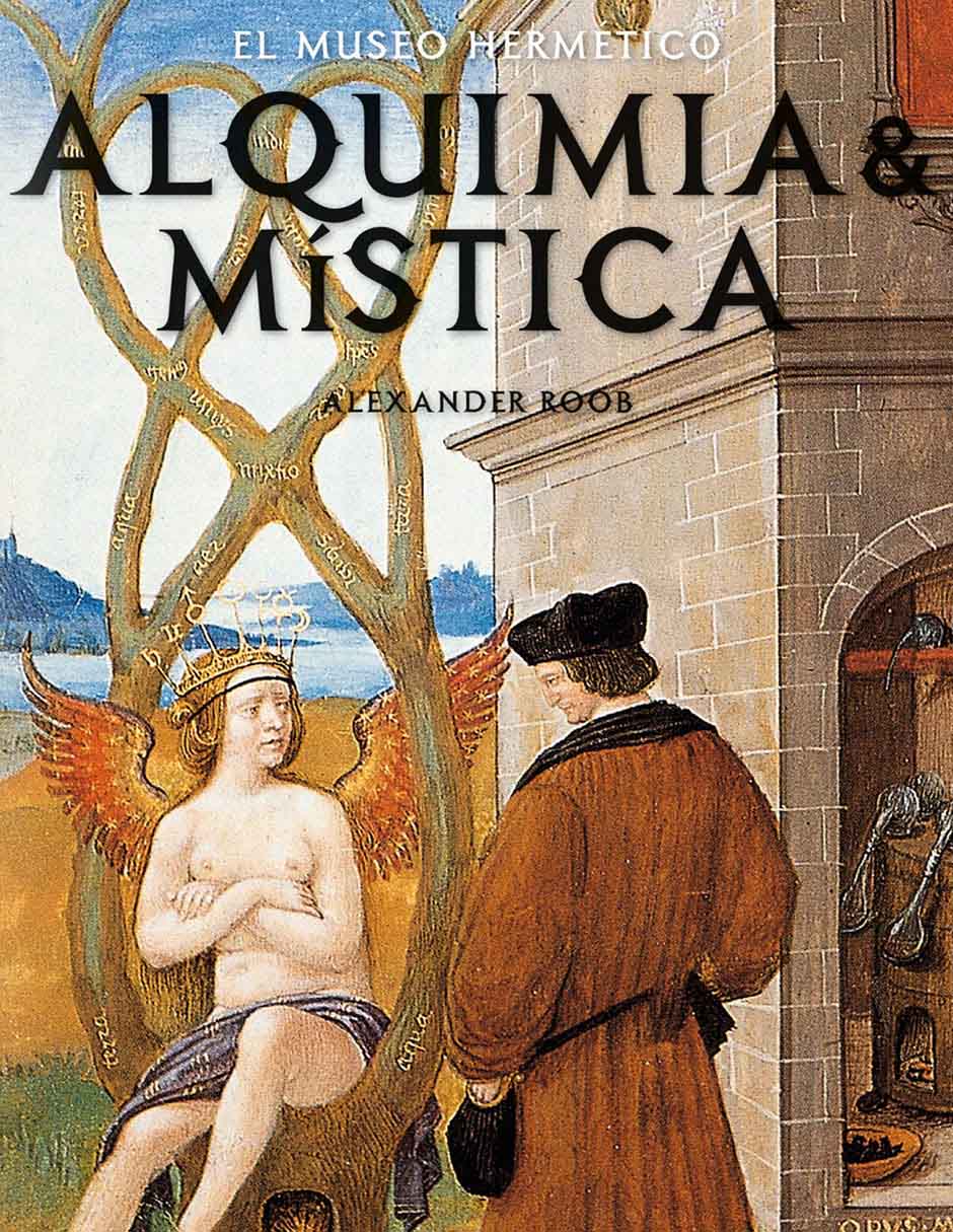 Libro Alchemy & Mysticism de Alexander Roob 2